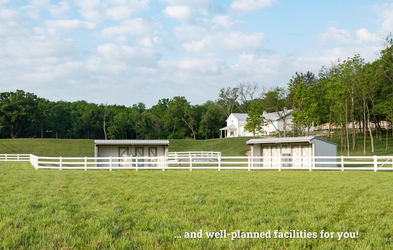 Hidden Timber Farm buildings for horse pasture boarding